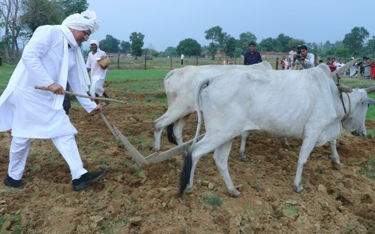 Government will buy 20 quintals per acre of paddy in Chhattisgarh